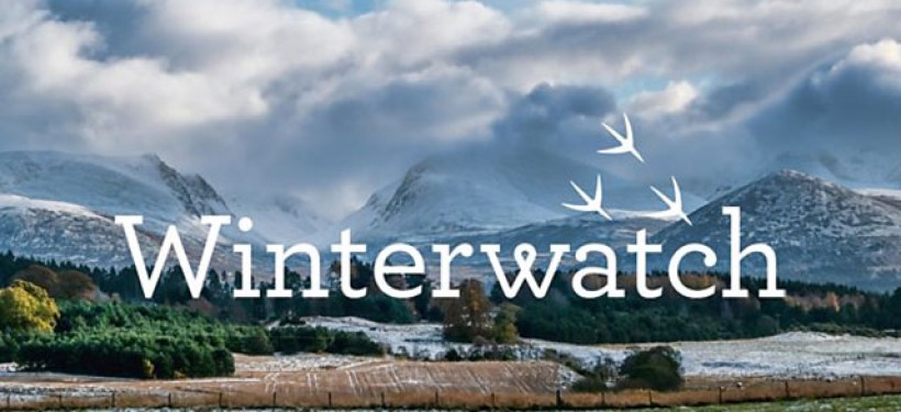 Winterwatch