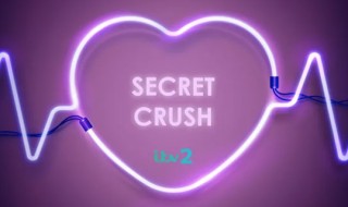 Secret Crush