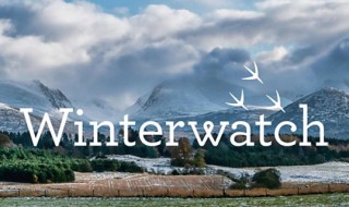 Winterwatch